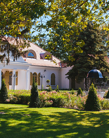 Vezetői retreat