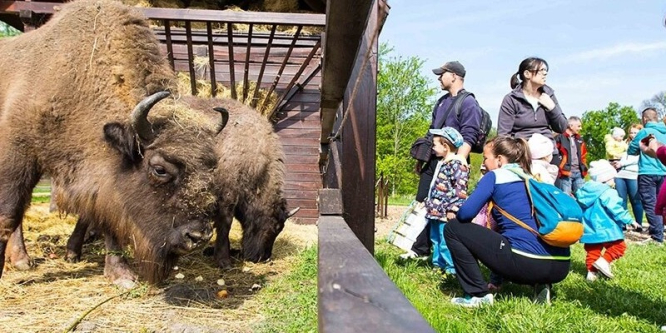 Körösvölgyi Állatpark